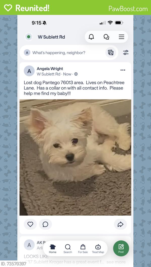 Reunited Female Dog last seen Peachtree Lane and Hilltop, Pantego, TX 76013