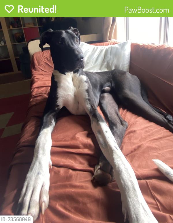 Reunited Male Dog last seen Pine flt Lake, Sanger, CA 93657