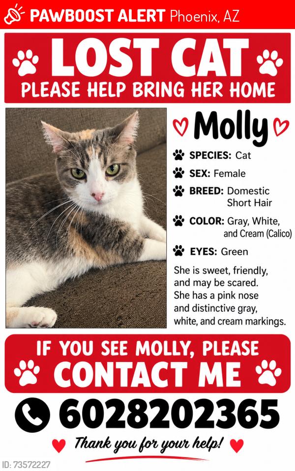 Lost Female Cat last seen Near ave Peoria, Phoenix, AZ 85051