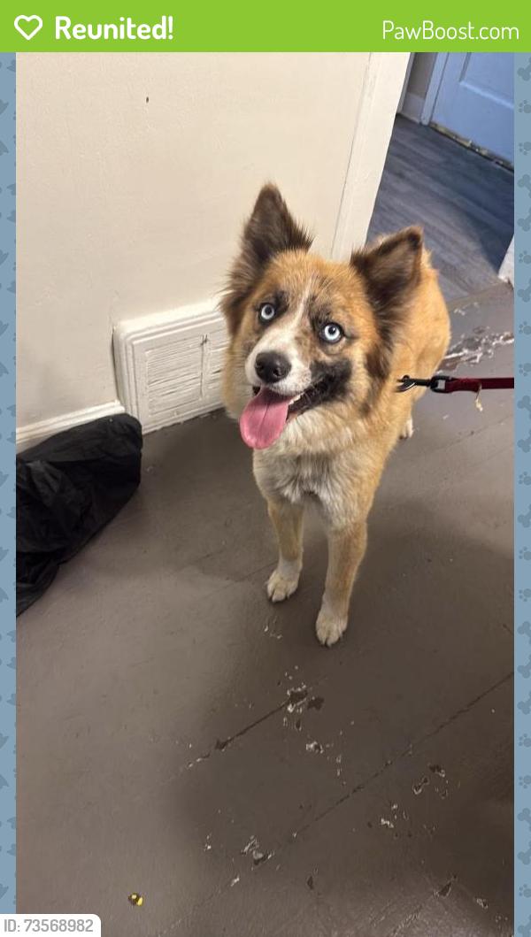 Reunited Female Dog last seen Winship Elementary School, Grand Forks, ND 58203