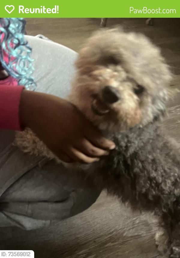 Reunited Male Dog last seen Chevron Gas station, Oakland, CA 94619