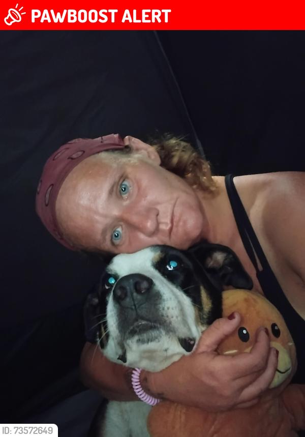 Lost Male Dog last seen Grandview heights, Grandview Heights, OH 43212