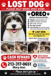 Lost Male Dog last seen 4th St and Serrano, Los Angeles, CA 90020