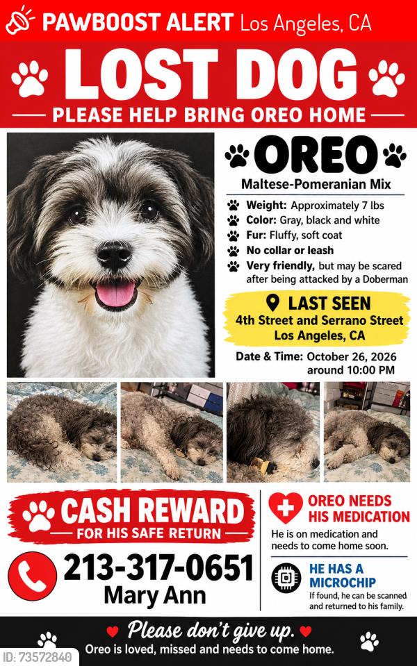 Lost Male Dog last seen 4th St and Serrano, Los Angeles, CA 90020