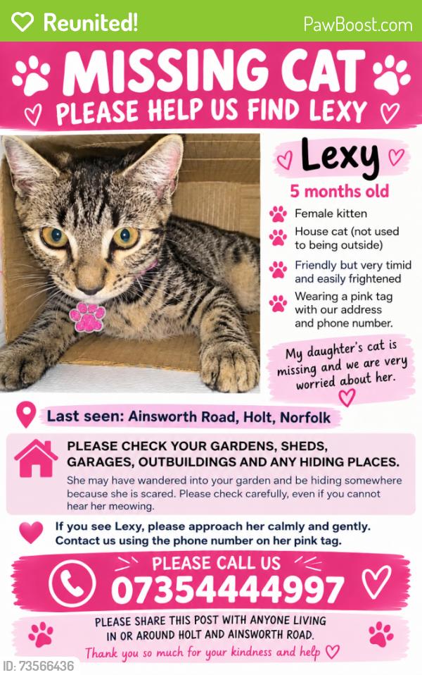Reunited Female Cat last seen Norfolk, Norfolk, England 