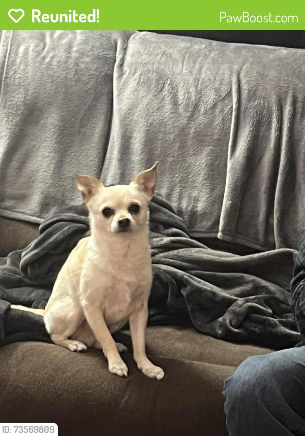 Reunited Male Dog last seen Northview Dr, Sacramento, CA 95833