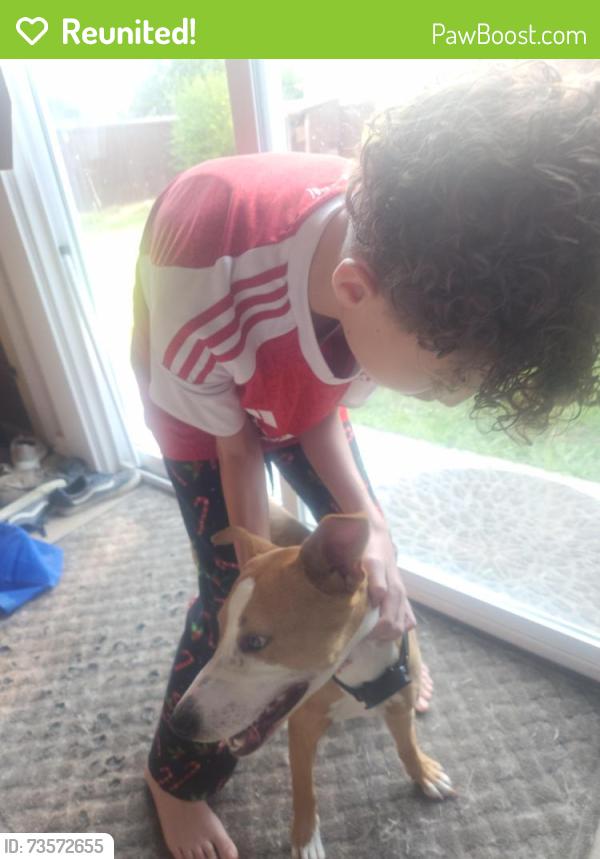 Reunited Male Dog last seen Near Buckingham Drive, Forney, TX 75126