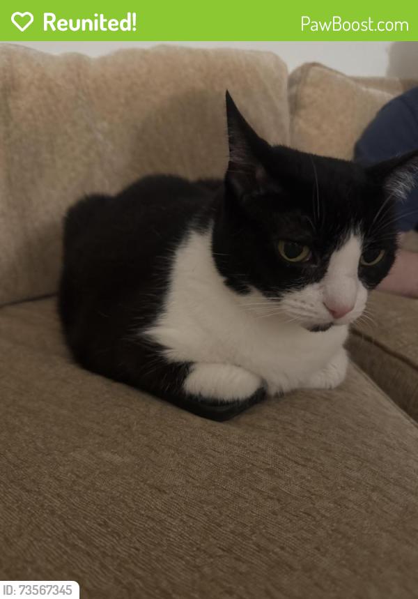 Reunited Female Cat last seen McKinley Ave and Battle, White Plains, NY 10606