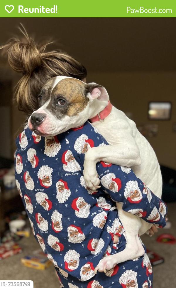 Reunited Female Dog last seen Privet Dr, Killeen, TX 76549, USA, Killeen, TX 76549