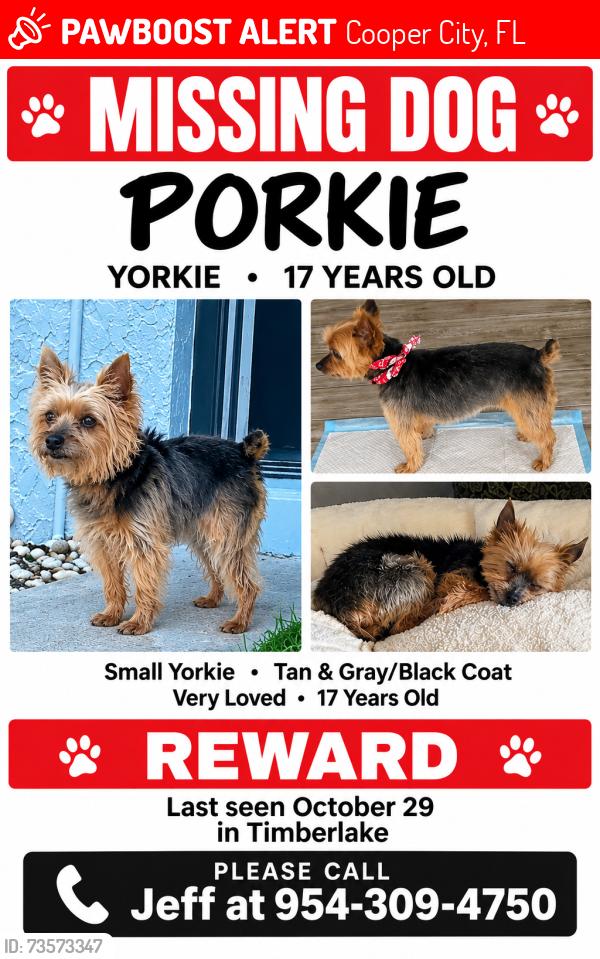 Lost Male Dog last seen Pine island griffin, Cooper City, FL 33328