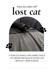 Lost Female Cat last seen Allen Rd. and Pennsylvania Rd., Taylor, MI 48195