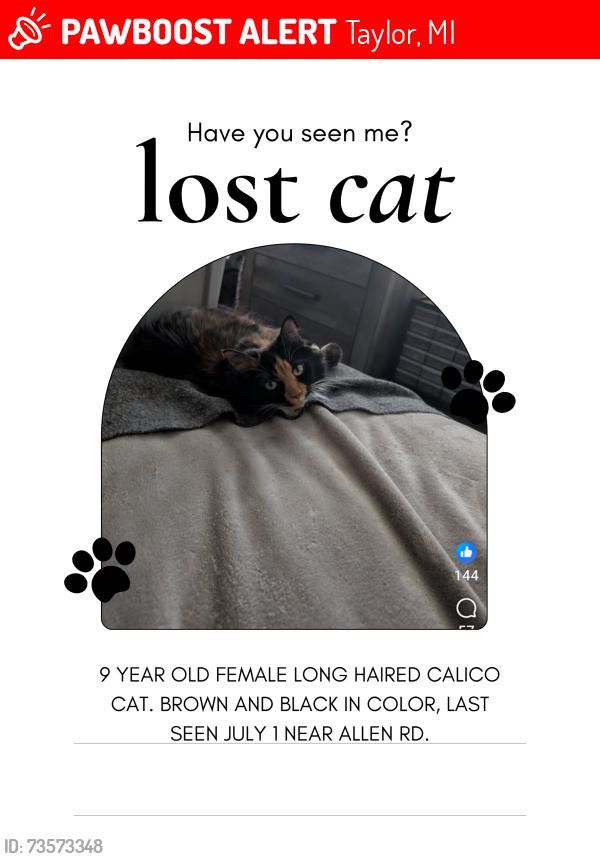 Lost Female Cat last seen Allen Rd. and Pennsylvania Rd., Taylor, MI 48195
