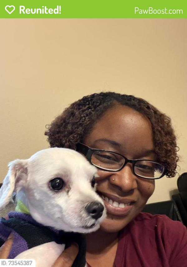 Reunited Male Dog last seen Holly Oaks Landing subdivision, Morgan’s Point Resort, Morgan's Point Resort, TX 76513
