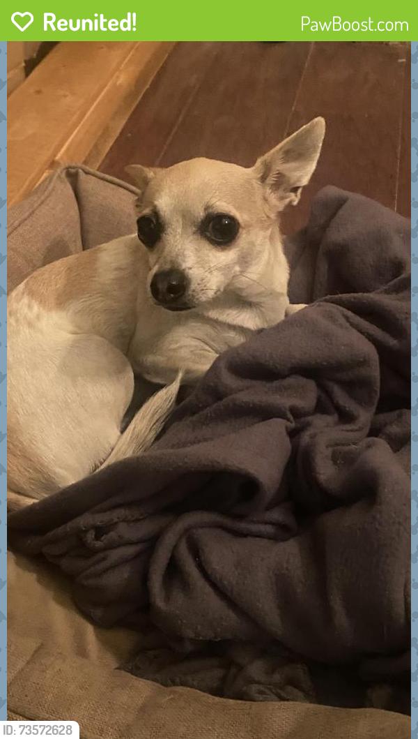 Reunited Male Dog last seen Near Eastridge Dr, Dallas, TX 75231