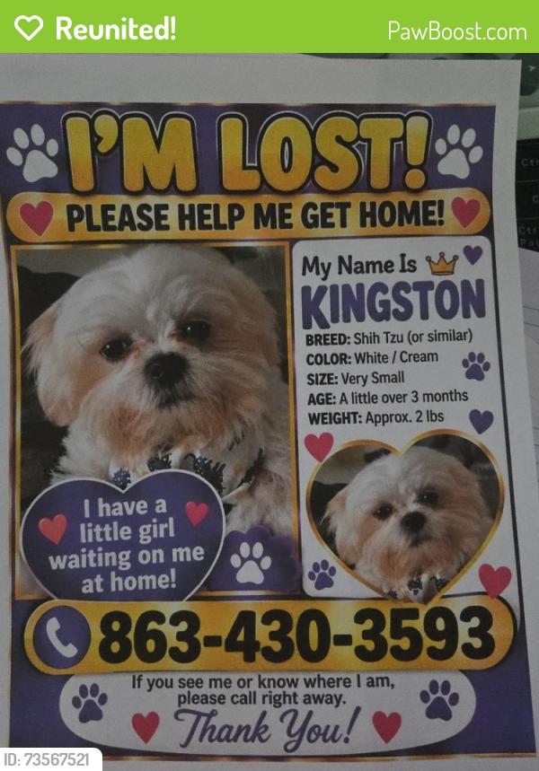 Reunited Male Dog last seen Hunters Grove, Lakeland, FL 33810