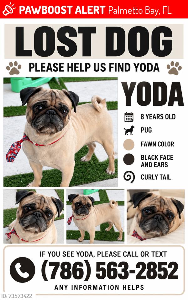 Lost Male Dog last seen 174th Street 92nd avenue, Palmetto Bay, FL 33157