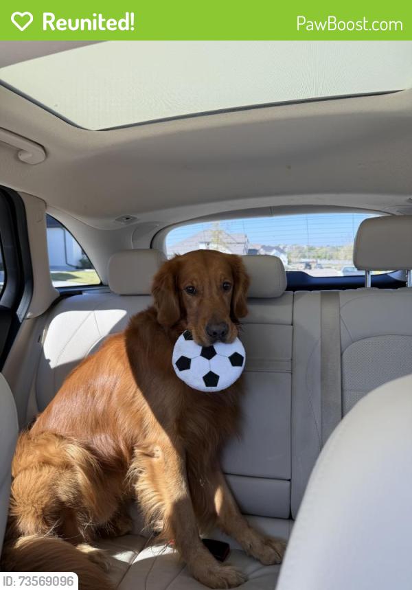 Reunited Male Dog last seen Near McIntyre Rd, McKinney, TX 75071, USA, McKinney, TX 75071