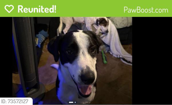 Reunited Male Dog last seen 15A and Adelle, DeLand, FL 32720
