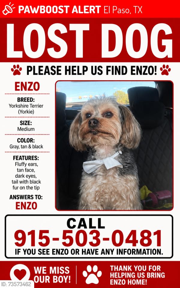 Lost Male Dog last seen Franklin Hills, El Paso, TX 79912