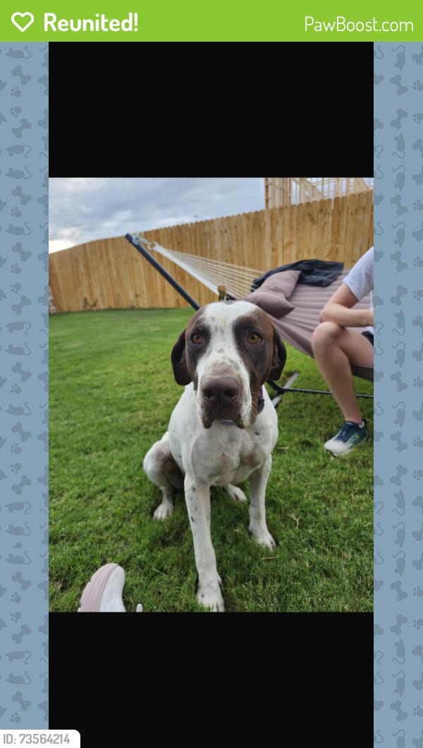 Reunited Male Dog last seen Old San Antonio Rd, Manchaca, TX 78652