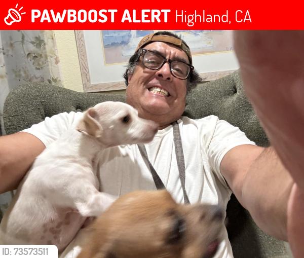 Lost Male Dog last seen Glenheather and Church, Highland, CA 92346