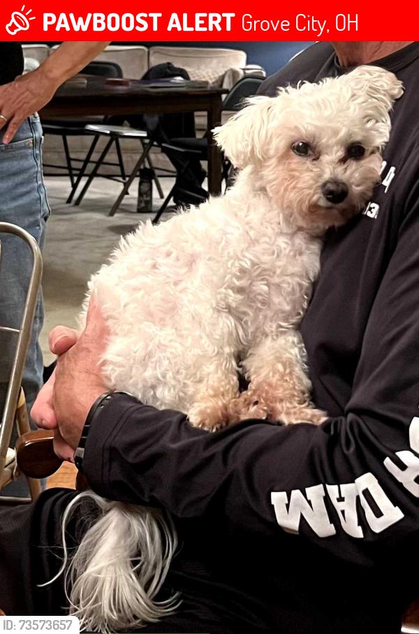 Lost Male Dog last seen Darby Creek Dr. and Alkire (near park entrance), Grove City, OH 43123