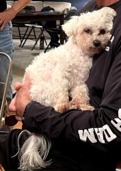 Lost Male Dog last seen Darby Creek Dr. and Alkire (near park entrance), Grove City, OH 43123