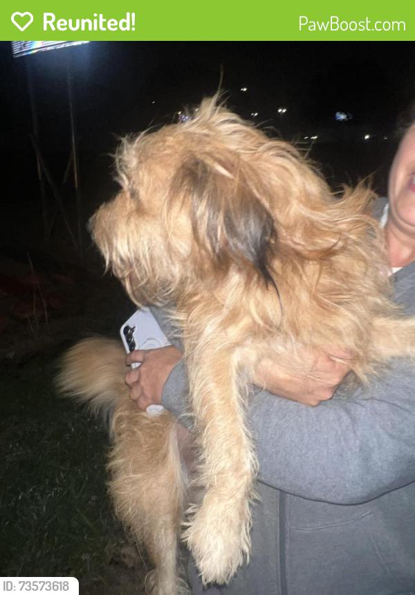 Reunited Male Dog last seen E Loop 820, Fort Worth, TX 76112