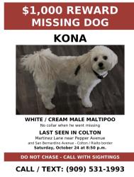 Lost Male Dog last seen Del Carmen Dr., Colton, CA 92324, Riverside, CA 92503