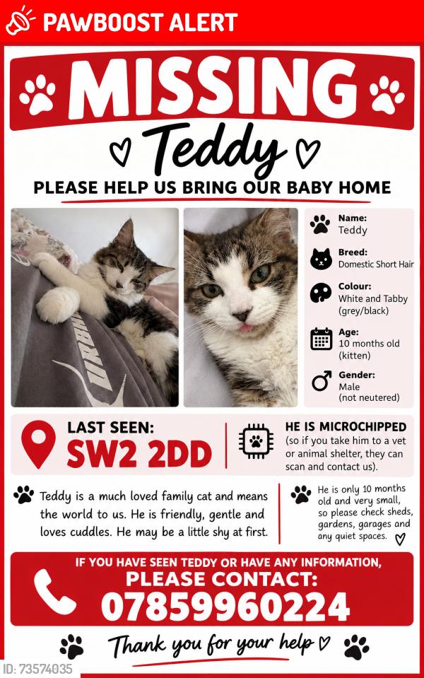 Lost Male Cat last seen Brockwell park, Greater London, England SW2 2DD