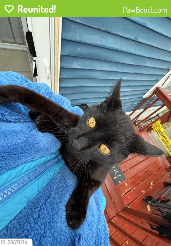 Reunited Male Cat last seen Near w burnside st, Sioux Falls, SD 57104