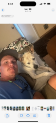 Reunited Male Dog last seen Roberts Blvd. And Stillwater, Deltona, FL 32725