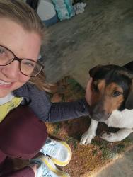 Reunited Male Dog last seen Lasater Rd and N. Lakeshore Rd Clemmons NC, Clemmons, NC 27012