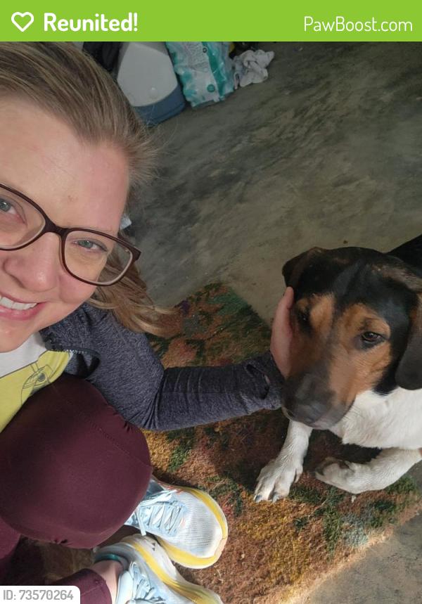 Reunited Male Dog last seen Lasater Rd and N. Lakeshore Rd Clemmons NC, Clemmons, NC 27012