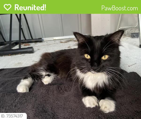 Reunited Female Cat last seen Andrews and 51st, Fort Lauderdale, FL 33309