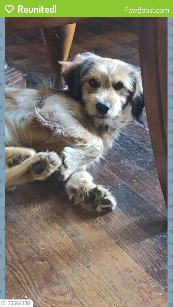 Reunited Male Dog last seen Near, Fort Worth, TX 76112