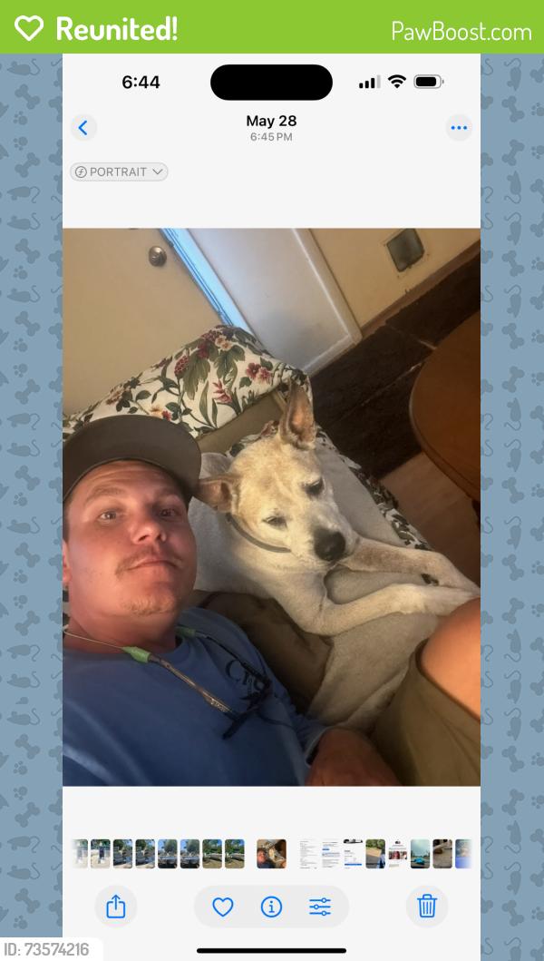 Reunited Male Dog last seen Roberts Blvd. And Stillwater, Deltona, FL 32725