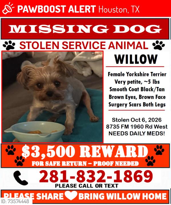 Lost Female Dog last seen Inntown Suites Extended Stay Willowbrooke, Houston, TX 77070