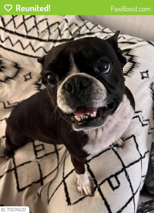 Reunited Female Dog last seen S Clara Ave and W Howry Ave, DeLand, FL 32720