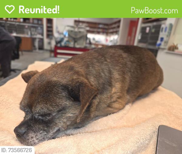 Reunited Male Dog last seen Moss Rd., North Richland Hills, TX 76180