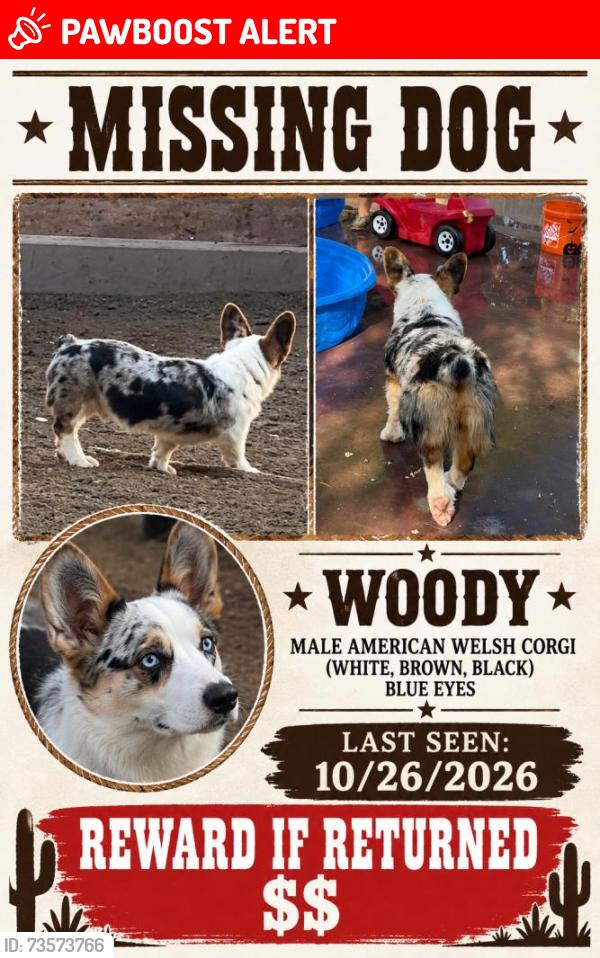 Lost Male Dog last seen Lomitas ave, Avocado Heights, CA 91746