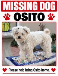 Lost Male Dog last seen Fay avenue and black shadow Dr, Moreno Valley, CA 92551