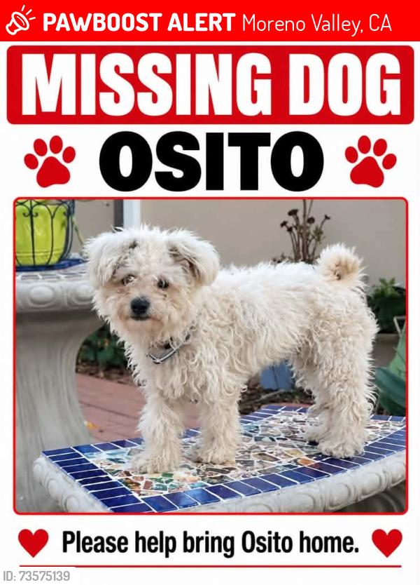 Lost Male Dog last seen Fay avenue and black shadow Dr, Moreno Valley, CA 92551