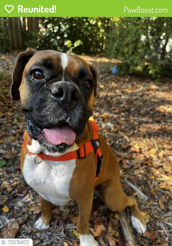 Reunited Female Dog last seen Pisgah Church Rd, Three Meadows, Dunleith Way, Greensboro, NC 27408