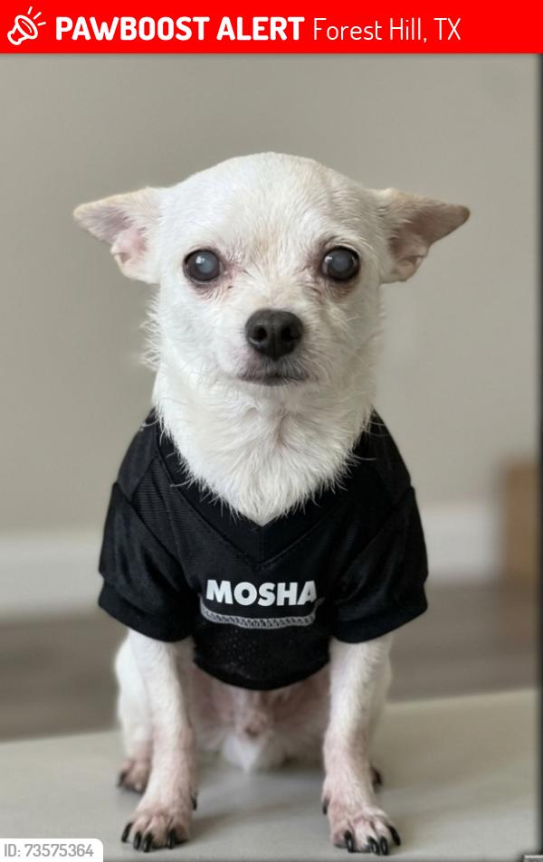 Lost Male Dog last seen Park ave and Star Gazer Ln, Forest Hill, TX 76140