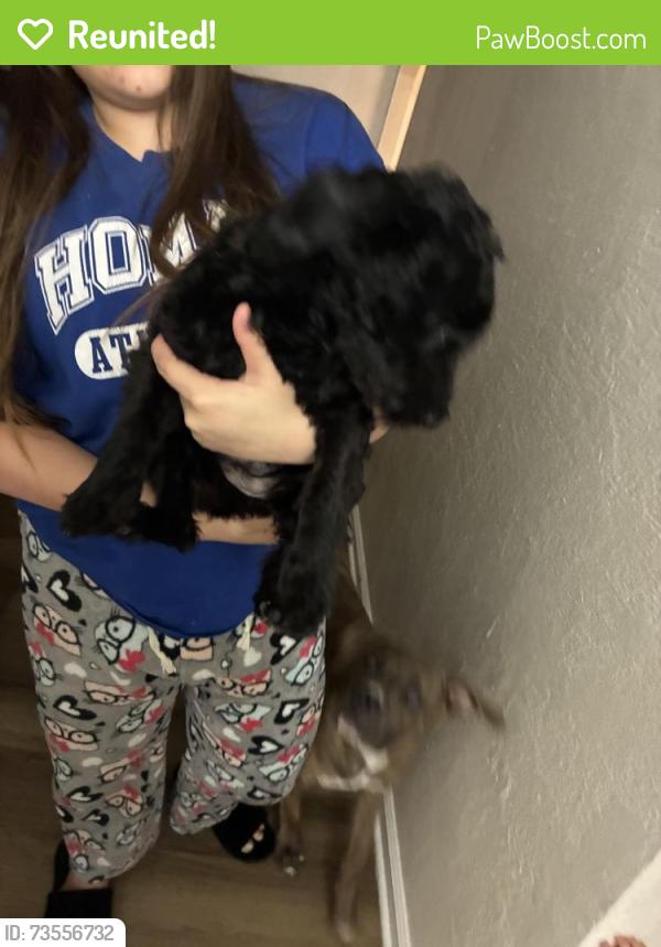 Reunited Female Dog last seen Marks and Dakota, Fresno, CA 93705