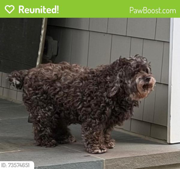 Reunited Female Dog last seen Owl’s Roost neighborhood, Greensboro, NC 27410