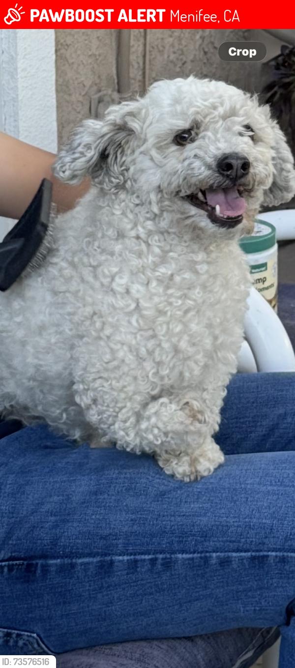 Lost Male Dog last seen Cypress Point Drive, Menifee, CA 92584