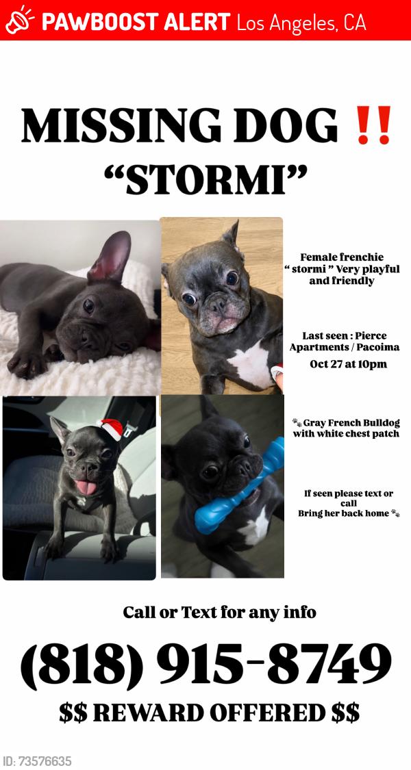 Lost Female Dog last seen Pierce apmts, Los Angeles, CA 91331