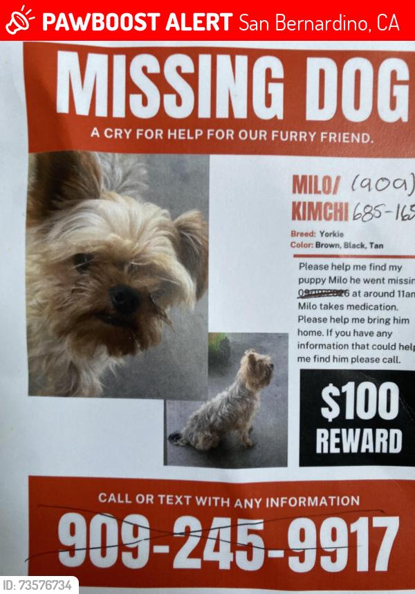Lost Male Dog last seen Medical center and w 23rd st, San Bernardino, CA 92405